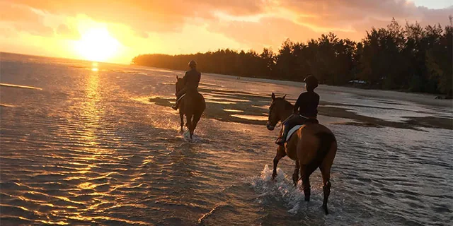 Horse riders on the beach at sunset