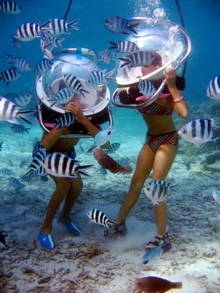 Undersea walkers feeding fish in shallow water
